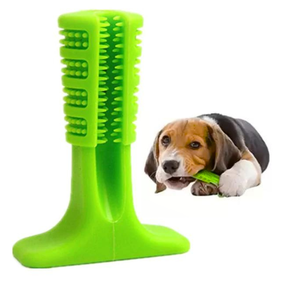 Mordedor y cepillo de dientes para perros-DogBrush