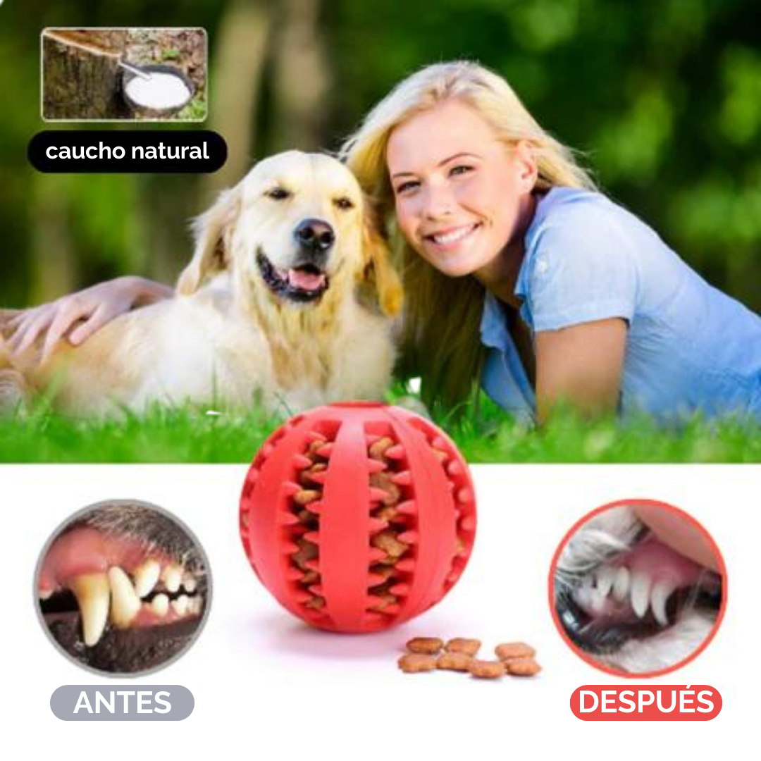 Pelota de aseo interactiva para perros-EasyPet