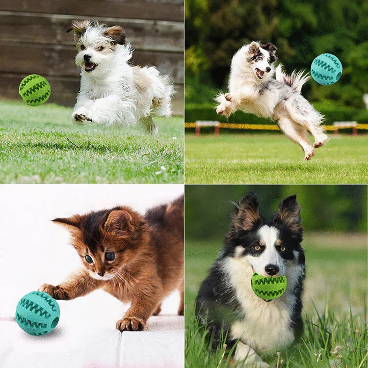 Pelota de aseo interactiva para perros-EasyPet